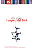 scienza come gioco i segreti del DNA