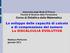 Lo sviluppo delle capacità di calcolo e di comprensione del numero La DISCALCULIA EVOLUTIVA