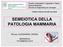 Presidio Ospedaliero: Ospedale S. Maria Bianca Mirandola Servizio di Diagnostica per Immagini. Direttore Dott.ssa Novella Guicciardi