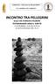 INCONTRO TRA PELLEGRINI SULLE VIE STORICHE D EUROPA TESTIMONIANZE ORALI E SCRITTE A SETTIGNANO CASA DEL POPOLO IL 31/05/2014 ALLE ORE 15.