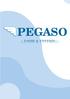 PEGASO PAGHE & STIPENDI