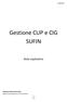 Gestione CUP e CIG SUFIN