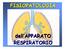 FISIOPATOLOGIA. dell APPARATO RESPIRATORIO