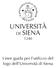 Linee guida per l'utilizzo del logo dell'università di Siena