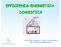 EFFICIENZA ENERGETICA DOMESTICA