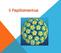 Human Papillomavirus (HPV) è un virus a DNA appartenente alla famiglia dei Papovaviridae.