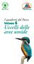 I quaderni del Parco Volume 6. Uccelli delle aree umide