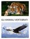 GLI ANIMALI VERTEBRATI