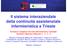 Il sistema interaziendale della continuità assistenziale infermieristica a Trieste