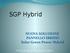SGP Hybrid. NUOVA SOLUZIONE PANNELLO IBRIDO Solar Green Power Hybrid