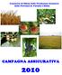 CAMPAGNA ASSICURATIVA
