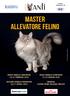 MASTER ALLEVATORE FELINO