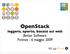 OpenStack leggero, aperto, basato sul web Better Software Firenze - 6 maggio 2009