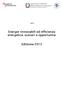 QI13. Energie rinnovabili ed efficienza energetica: scenari e opportunità