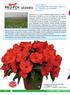 LE NOVITA VANNO PRENOTA. Impatiens Nuova Guinea RED FOX Magnum Fire 1 Con RED FOX Magnum l'assortimento