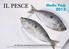 IL PESCE. Media Pack 2015
