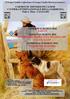 3 GIORNI DI ESPOSIZIONI CANINE C/O FIERA INTERNAZIONALE DELLA SARDEGNA Viale A. Diaz - CAGLIARI