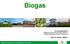 Biogas. 12 novembre2015 WORKSHOP: L ATTIVITA DI CONTROLLO PRESSO LE AZIENDE ZOOTECNICHE SOGGETTE AIA (IPPC 6.6) Silvia R.