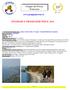 Gruppo del Prosac Tremosine. www.gruppoprosac.it ITINERARI E PROGRAMMI PER IL 2014
