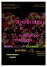 Antibiotici. antibiotico resistenza : perché..? FARMACOLOGIA CLINICA. A cura di: M.Erminia Stochino Roberto De Lisa Raffaella Ardau