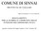 COMUNE DI SINNAI PROVINCIA DI CAGLIARI REGOLAMENTO PER LA NOMINA E L ESERCIZIO DELLE FUNZIONI DEL DIFENSORE CIVICO