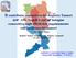 Il contributo conoscitivo del Registro Tumori dell ASL Napoli 3 sud all indagine conoscitiva sugli effetti dell inquinamento sull incidenza dei tumori