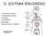 IL SISTEMA ENDOCRINO. La ghiandola pineale Le ghiandole surrenali La tiroide Le paratiroidi Il pancreas Approfondimento: il diabete