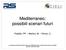 Mediterraneo: possibili scenari futuri. Puliafito, PP. Merlino, M. Ferrari, C.