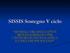 SISSIS Sostegno V ciclo MODELLI ORGANIZZATIVI E RETI DI SOSTEGNO PER L INTEGRAZIONE SCOLASTICA E L INCLUSIONE SOCIALE