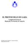 IL PROTOCOLLO DI GARA. Campionati di Serie B Regionali, Provinciali, di Categoria