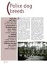 Police dog (breeds. Prendo spunto da alcune. Tra la fine dell 800 e l inizio del 900, le razze utilizzate a scopi militari e di polizia erano