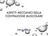 ASPETTI MECCANICI DELLA CONTRAZIONE MUSCOLARE. FGE aa.2015-16
