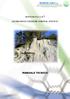 SISTEMA R.E.C.S. (REINFORCED EROSION CONTROL SYSTEM) MANUALE TECNICO