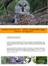 VIAGGIO FOTOGRAFICO Guffi e Uccelli della Taiga Svezia, 19-24 maggio 2014