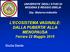 L ECOSISTEMA VAGINALE: DALLA PUBERTA ALLA MENOPAUSA Ferrara 22 Maggio 2015