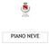 Comune di Polesella PIANO NEVE