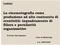 La cinematografia come produzione ad alto contenuto di creatività: : inquadramento di filiera e peculiarità organizzative