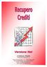 Il programma Recupero Crediti Net RCR.Net è stato realizzato per ottimizzare le procedure di recupero credito aziendali.