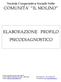 COMUNITA IL MOLINO ELABORAZIONE PROFILO PSICODIAGNOSTICO