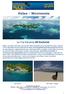 Palau Micronesia. La Tua Vacanza All Exclusive