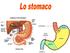 Funzioni dello stomaco