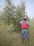 Meccanizzazione e costi della raccolta meccanica dell oliveto superintensivo