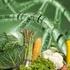 Il controllo analitico degli OGM