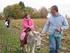 Integrazione della Pet Therapy nel mondo rurale e validazione della sua efficacia