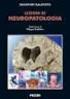 Indice. Introduzione 4. -L infiammazione 4. -Ruolo delle citochine e delle chemochine nell infiammazione 8. -Funzioni delle chemochine 18