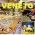 Veneto: L. R. 2/2002 Fondo di Rotazione per la concessione di finanziamenti agevolati alle imprese artigiane