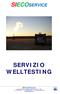 SERVIZIO WELLTESTING