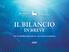 IL BILANCIO IN BREVE. Per la stabilità finanziaria e la crescita economica