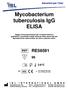 Mycobacterium tuberculosis IgG ELISA