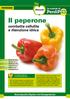 Il peperone. combatte cellulite e ritenzione idrica. Le schede di. Alimenti. Enciclopedia Digitale del Dimagrimento. peperone